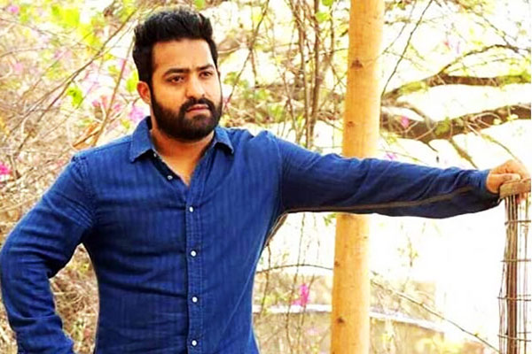 jr ntr,director babi,tollywood,abhi shek bachchan  ఈ హీరోకి అనుకోని షాక్..!